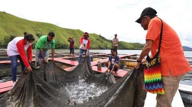 Pemuda Papua diajarkan budidaya ikan