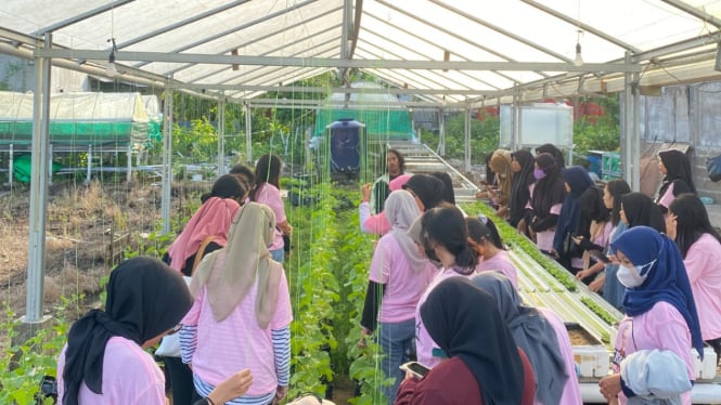 Warga Kalbar Ikuti Pelatihan Budidaya tanaman Hidroponik